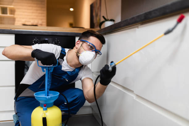 Reliable Westfield, MA Pest Control Solutions