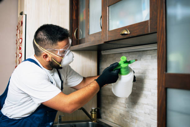 Best Bed Bug Extermination  in Westfield, MA