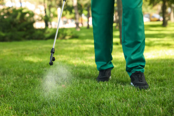 Best Best Pest Control Companies  in Westfield, MA