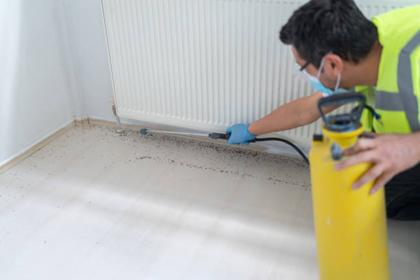 Best Best Pest Control Companies  in Westfield, MA
